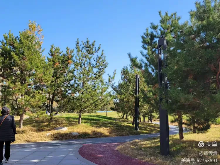 冬游曲江花影公园